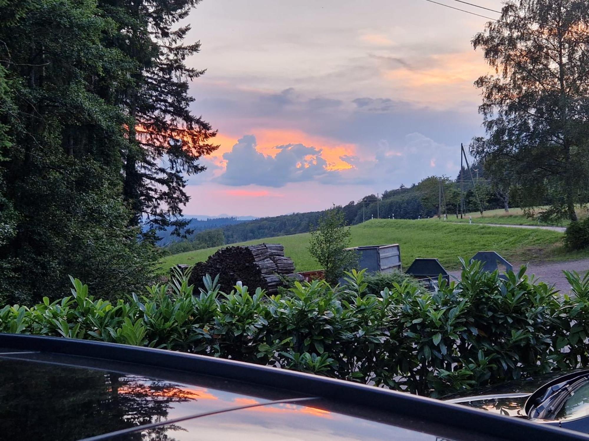 Ferien Im Schwarzwald Freiamt Hotell Exteriör bild