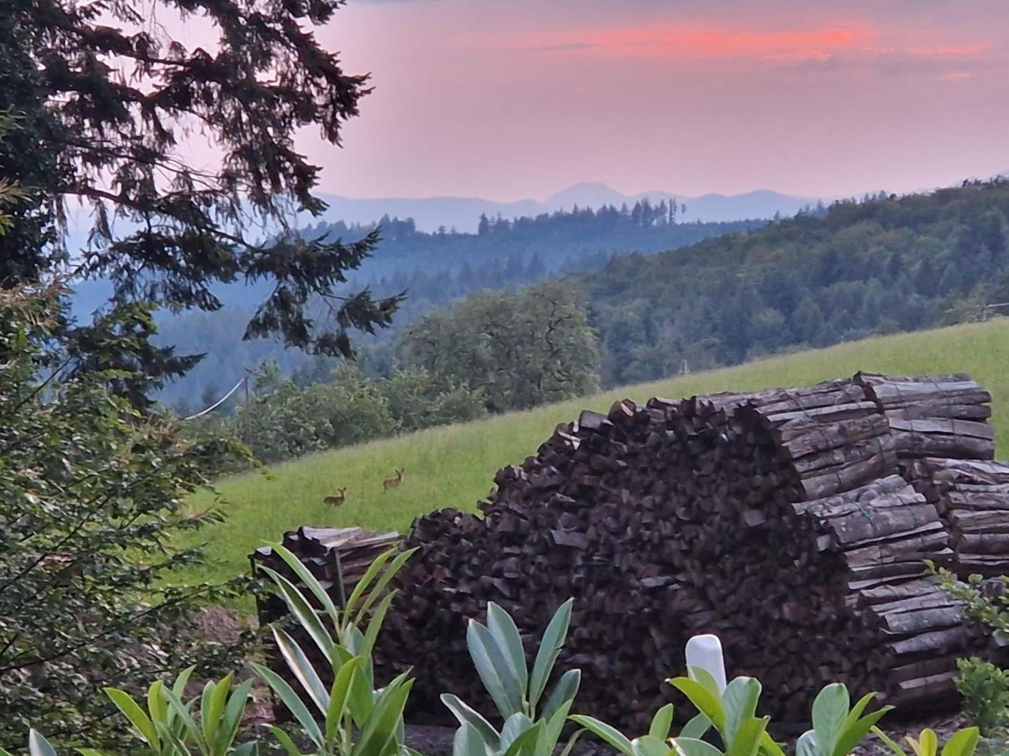 Ferien Im Schwarzwald Freiamt Hotell Exteriör bild