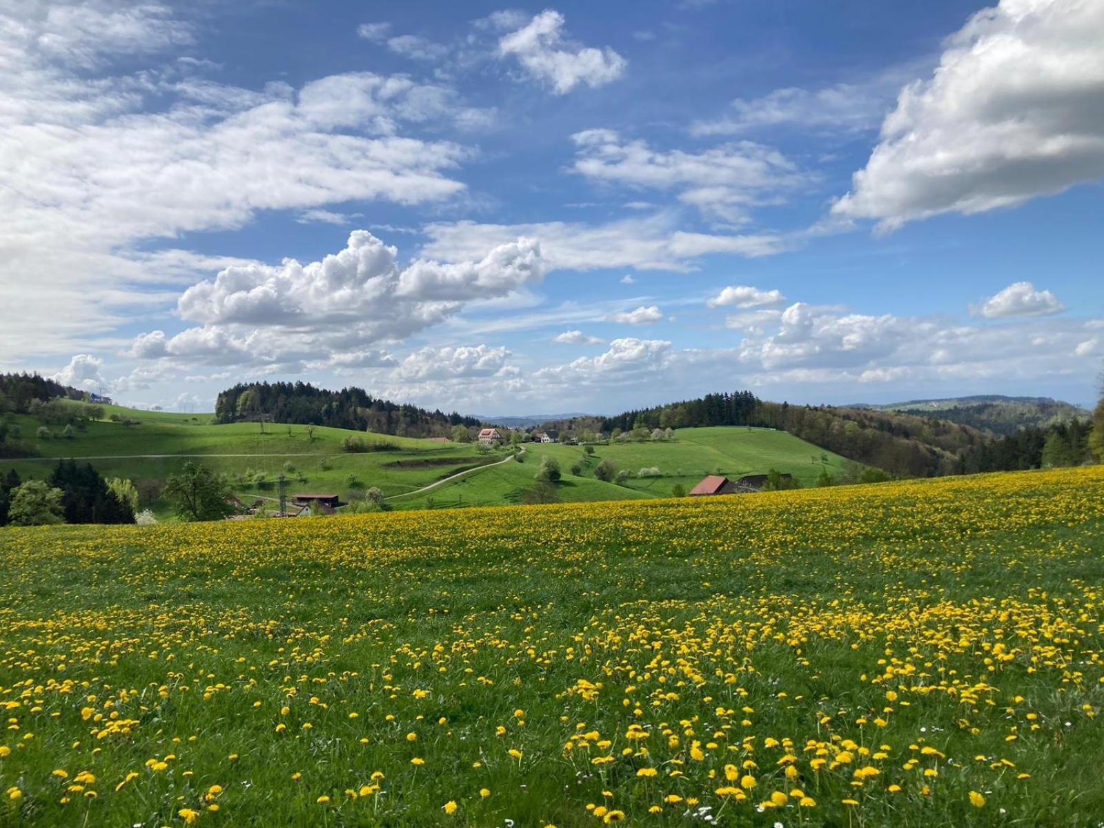 Ferien Im Schwarzwald Freiamt Hotell Exteriör bild