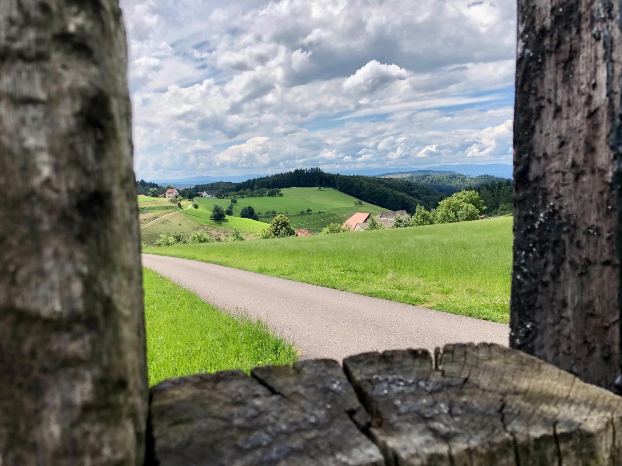 Ferien Im Schwarzwald Freiamt Hotell Exteriör bild