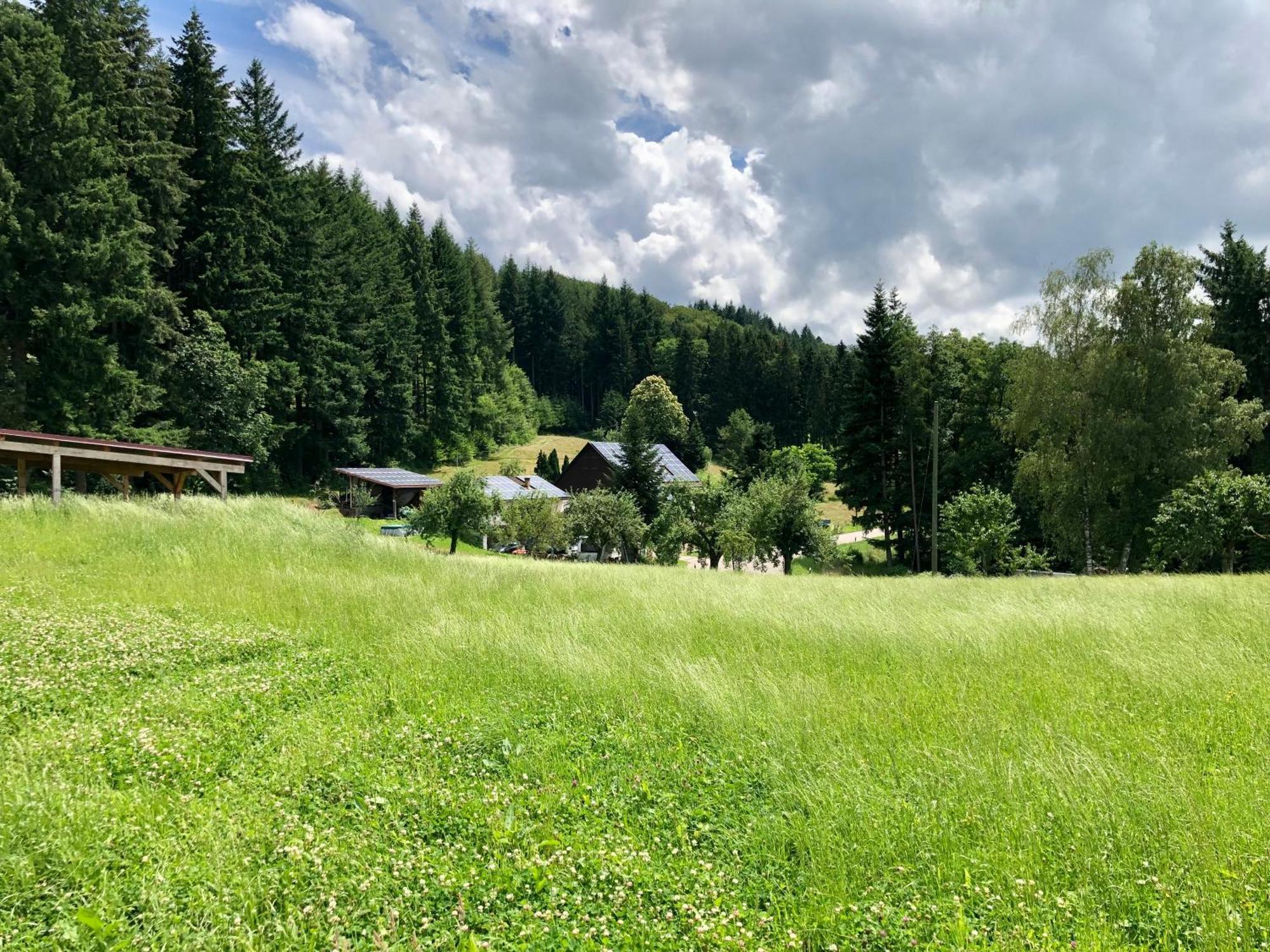 Ferien Im Schwarzwald Freiamt Hotell Exteriör bild