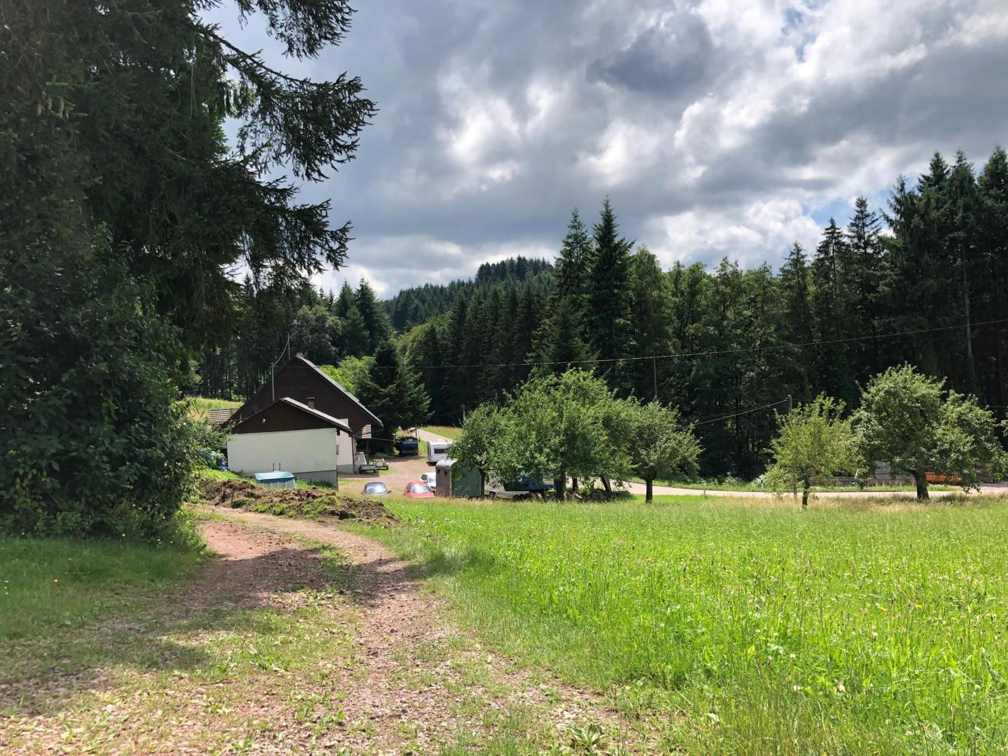 Ferien Im Schwarzwald Freiamt Hotell Exteriör bild