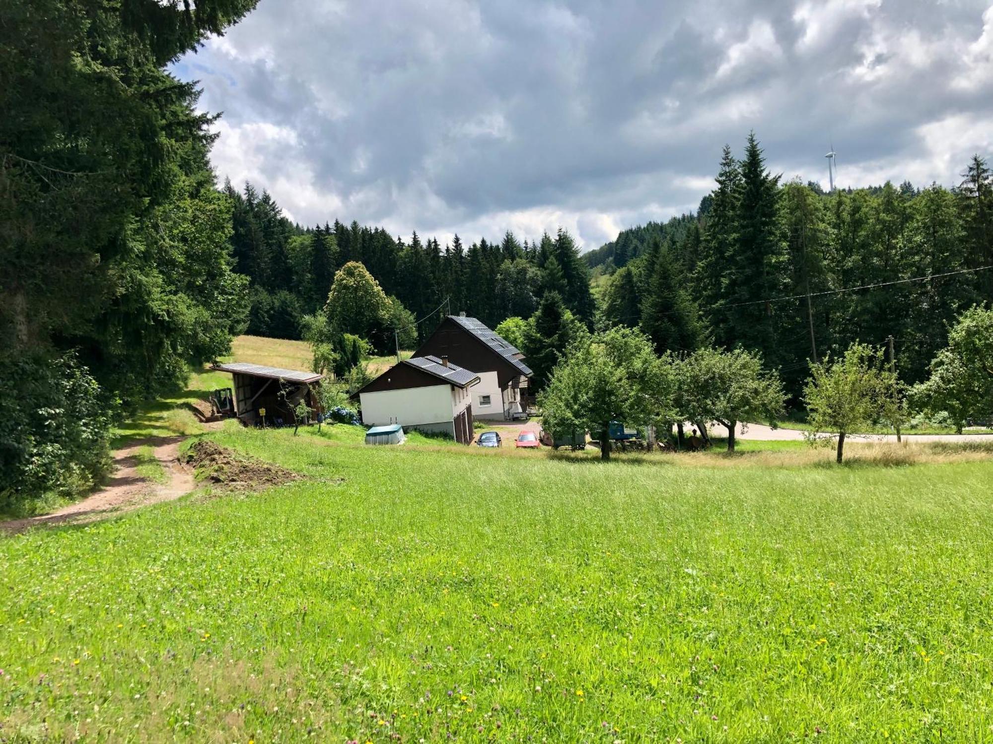 Ferien Im Schwarzwald Freiamt Hotell Exteriör bild