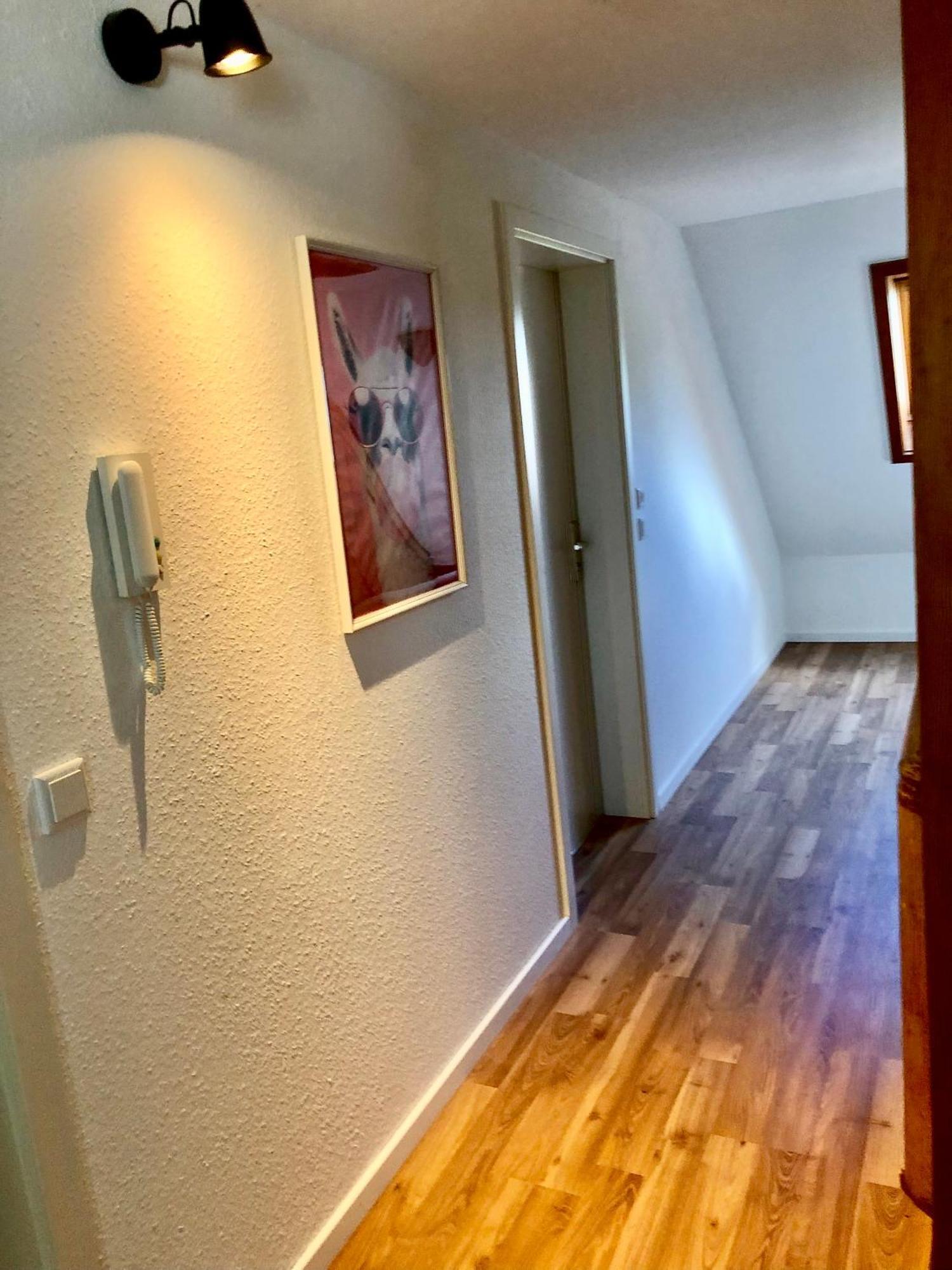 Ferien Im Schwarzwald Freiamt Hotell Exteriör bild